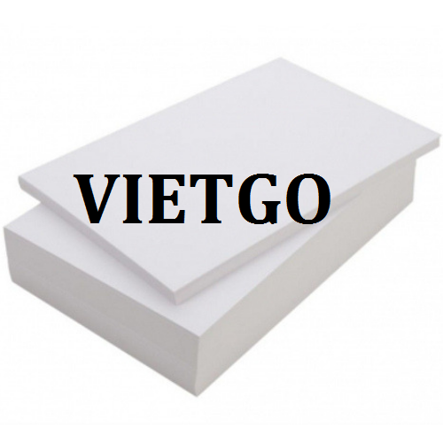 giay1-vietgo-250119
